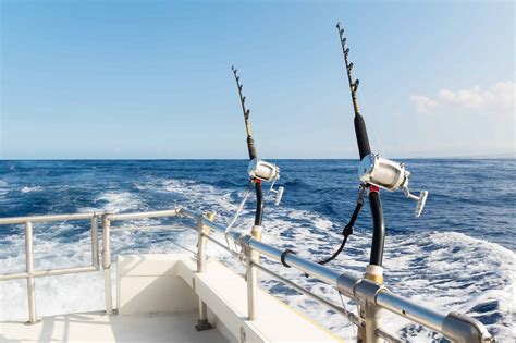 From Novice to Pro: Sunday Sea Fishing Tips for Beginners